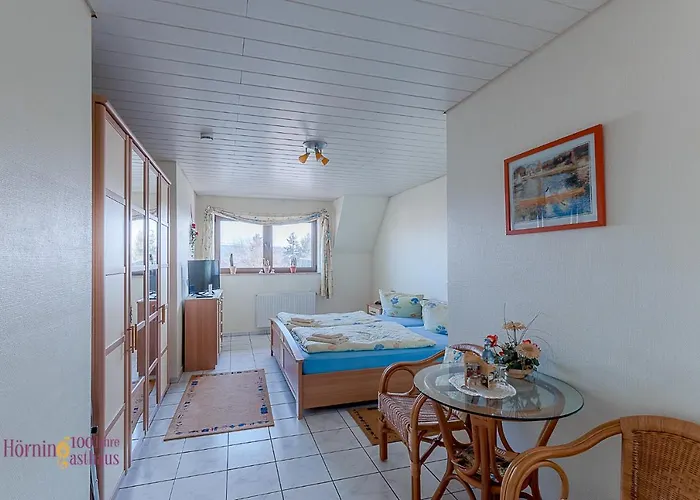 게스트하우스 Gasthaus & Horning *