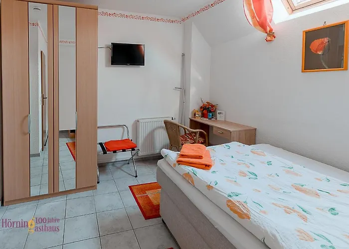 Gasthaus & Horning 게스트하우스 *